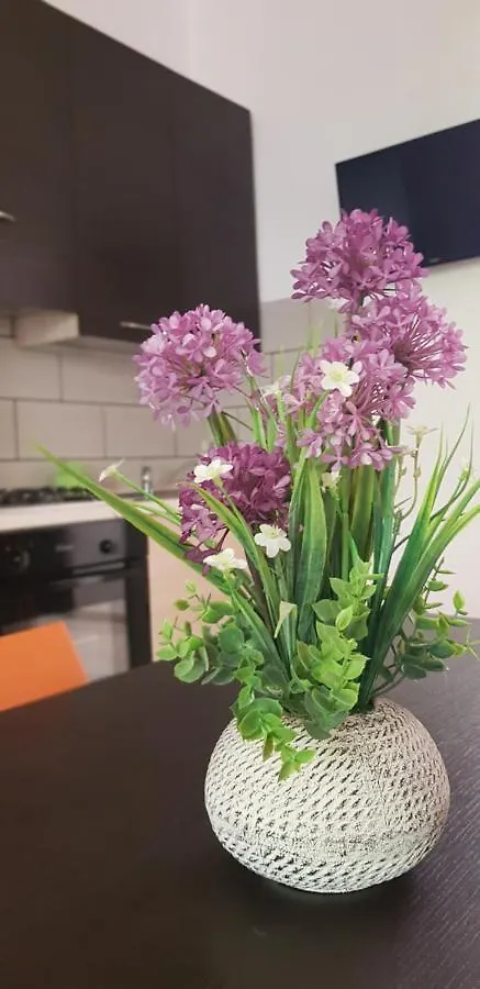 Appartamento Fiore Di Zagara 100Mt Dal Mare San Vito Lo Capo