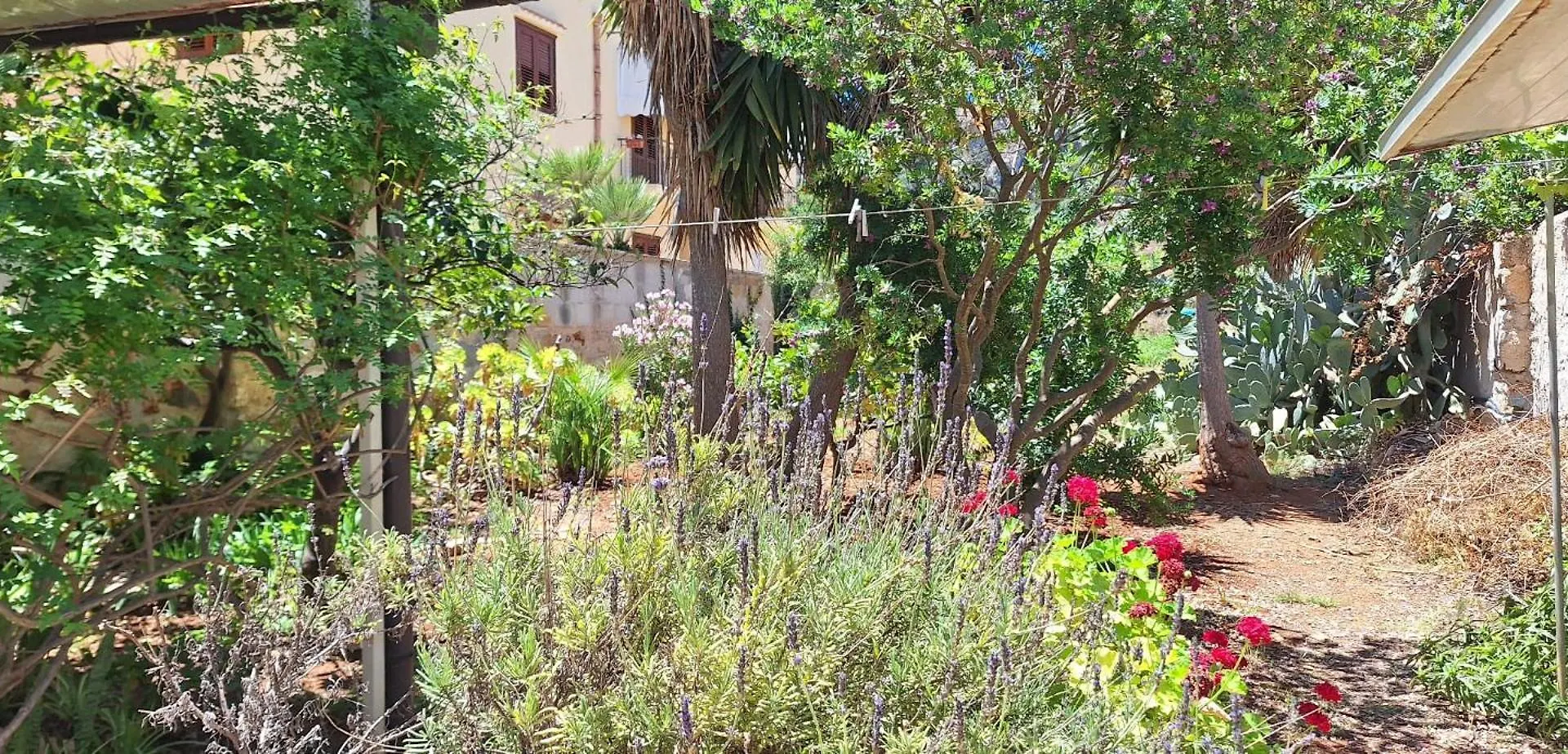 Appartamento Fiore Di Zagara 100Mt Dal Mare San Vito Lo Capo Apartment